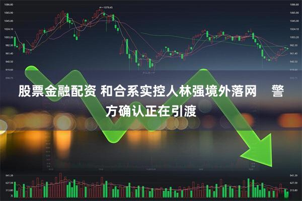 股票金融配资 和合系实控人林强境外落网    警方确认正在引渡